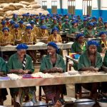 Impact Fund Denmark Joins $600M Sustainability-Linked Facility for ETG to Target Agricultural Working Capital Deficit