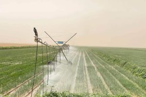 ALCB Fund Invests in Swami Agri’s Debut Bond, First Agricultural Green Bond in WAEMU